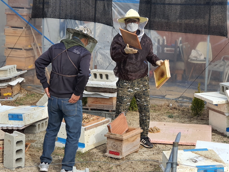 [크기변환]0329 농업기술센터 - 금산군, 올해 토종꿀 생산단지 복원 추진 (3).JPG