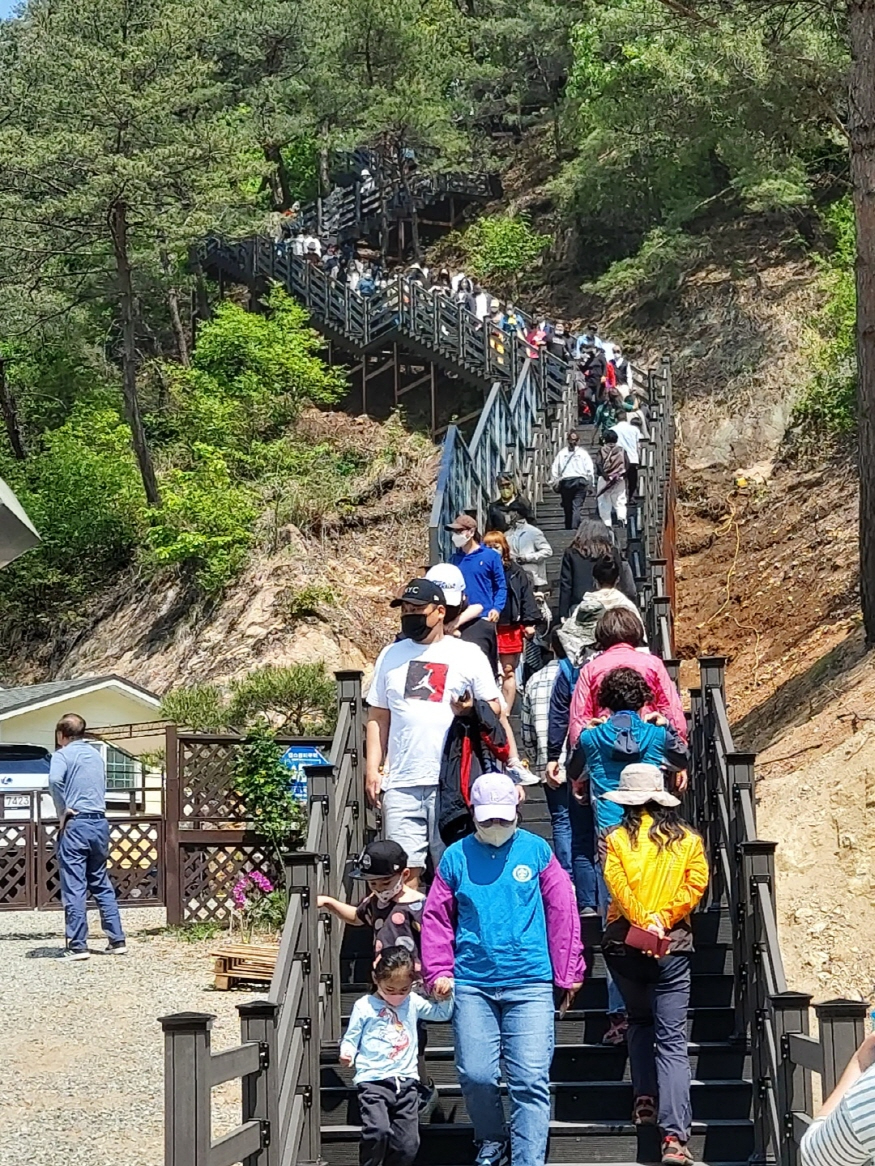 [크기변환]0503 관광문화체육과 - 금산 월영산 출렁다리 첫 주말 2만여 명 방문 대박 조짐 (1).jpg